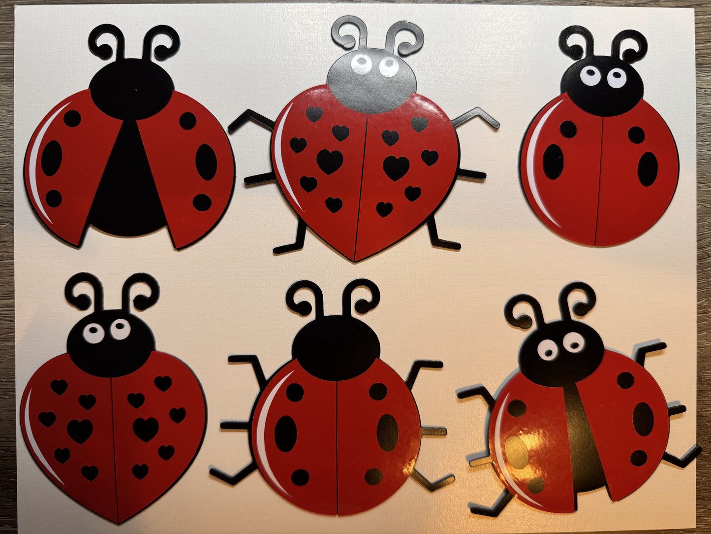 Personalized Ladybug Cruise Ship Door Magnet Set – Celebrate in Style! image 1