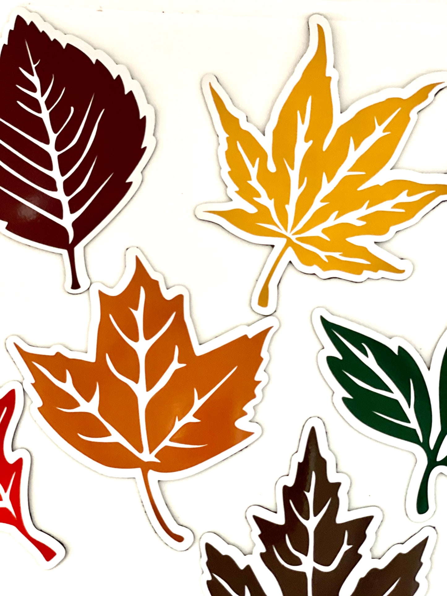 Fall Leaves set of 6 | Maple Leaf | Autumn Leaves Magnets | Fall Leaf Magnets image 6
