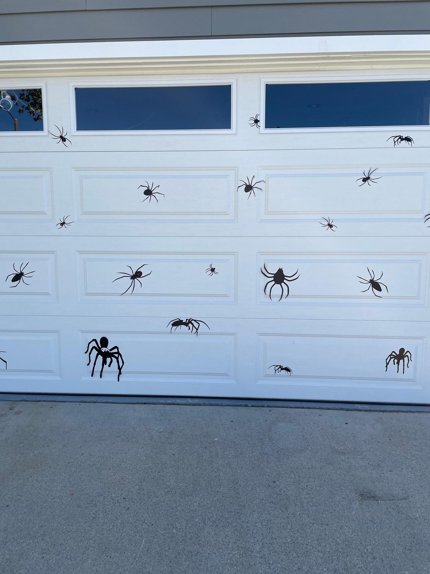 Halloween Spider Magnets | Black Widow Magnet | Tarantula Magnets image 4