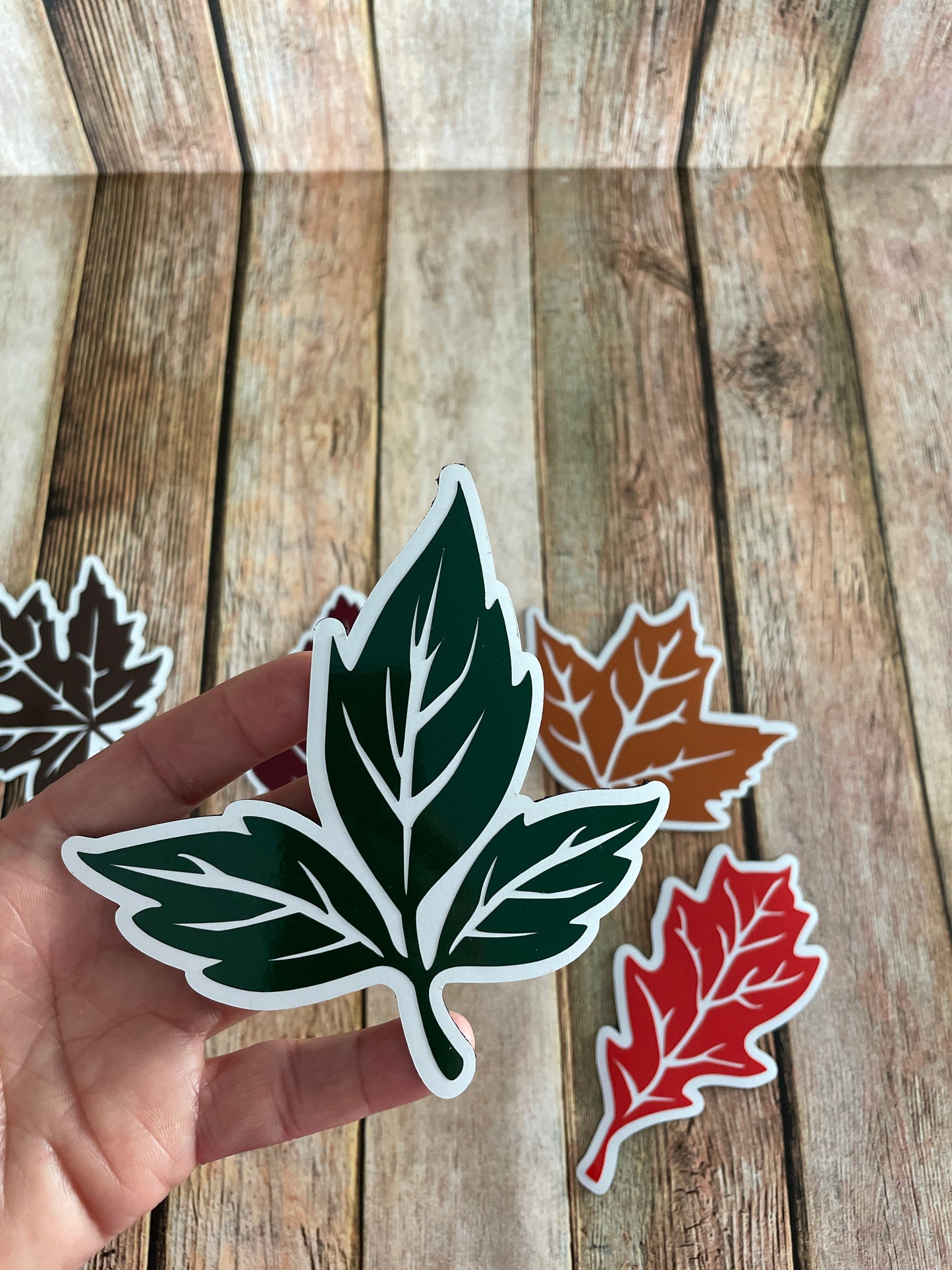 Fall Leaves set of 6 | Maple Leaf | Autumn Leaves Magnets | Fall Leaf Magnets image 4