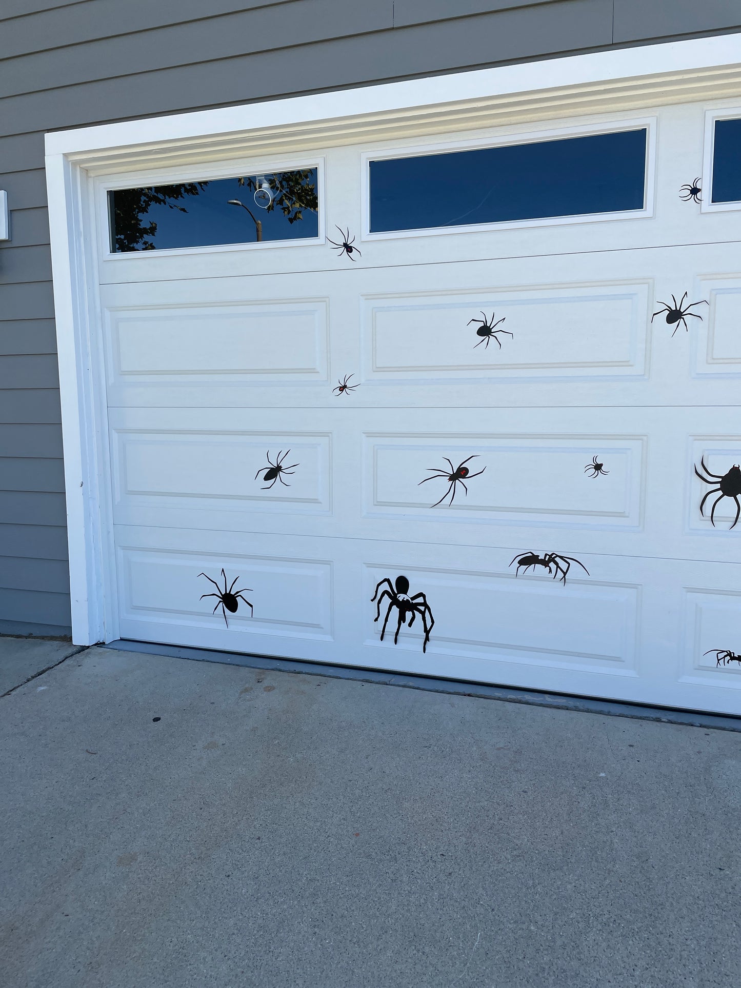 Halloween Spider Magnets | Black Widow Magnet | Tarantula Magnets image 5