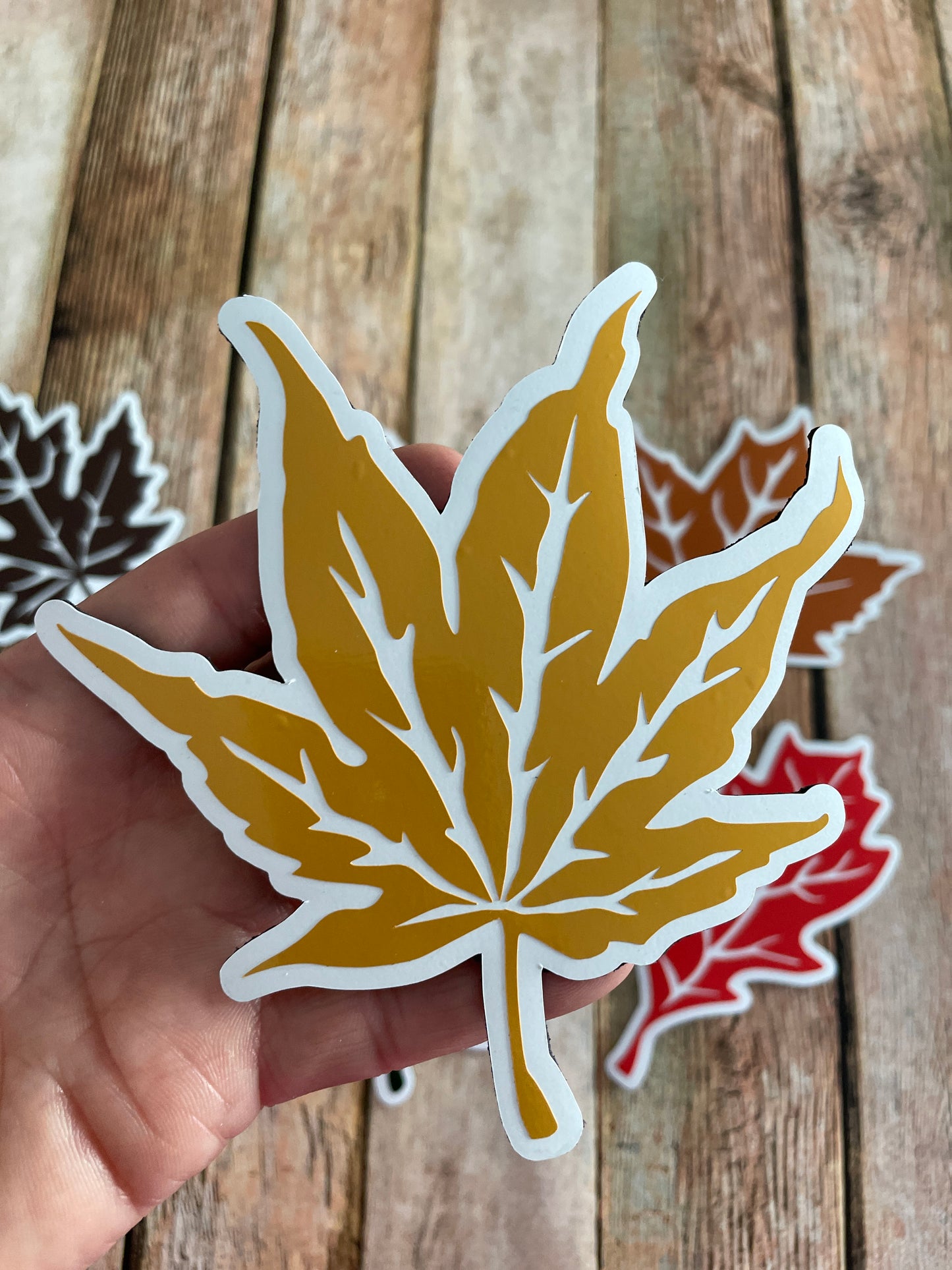 Fall Leaves set of 6 | Maple Leaf | Autumn Leaves Magnets | Fall Leaf Magnets image 2