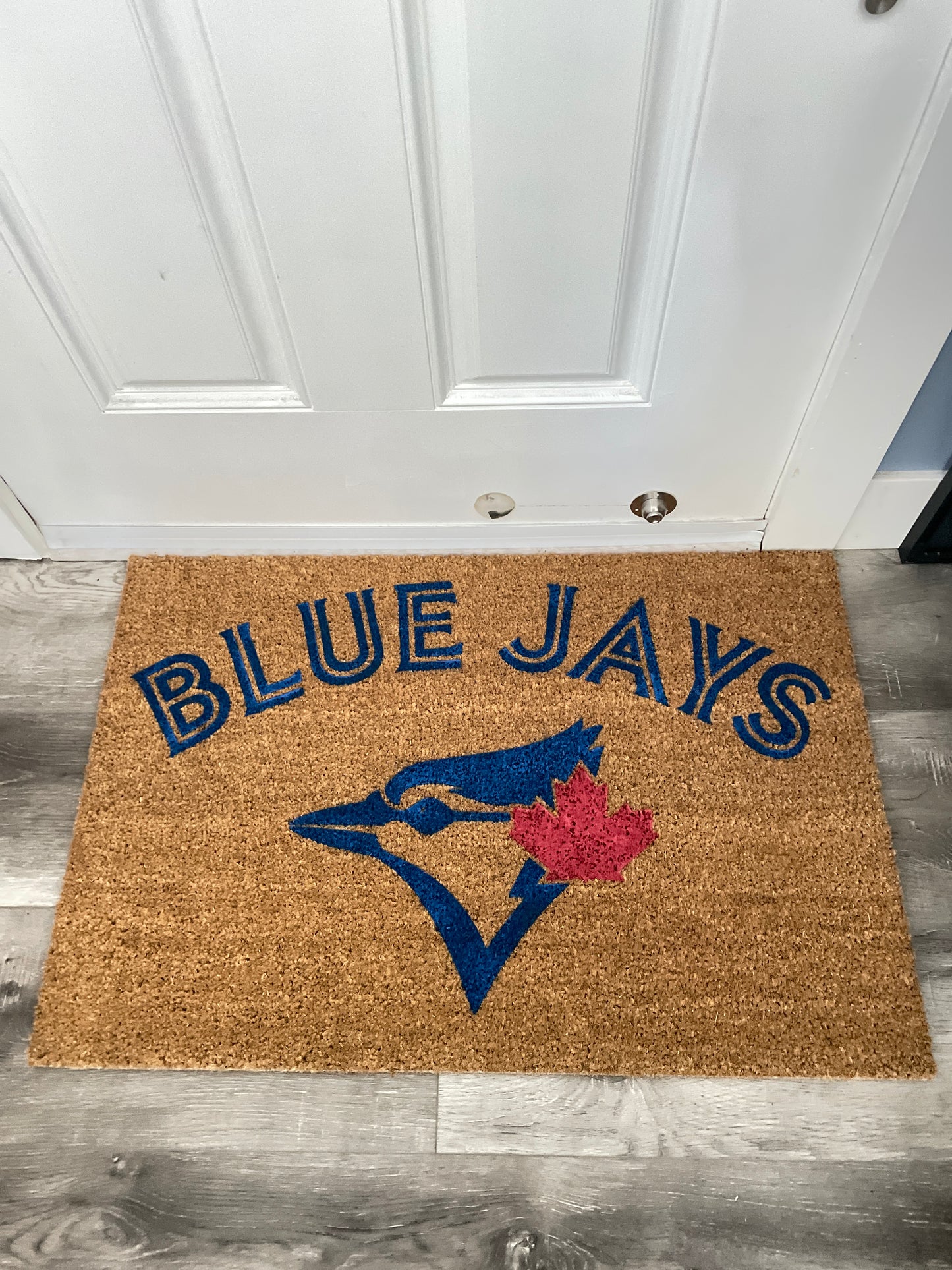 Toronto Blue Jays Door Mat | Welcome Mat | image 8