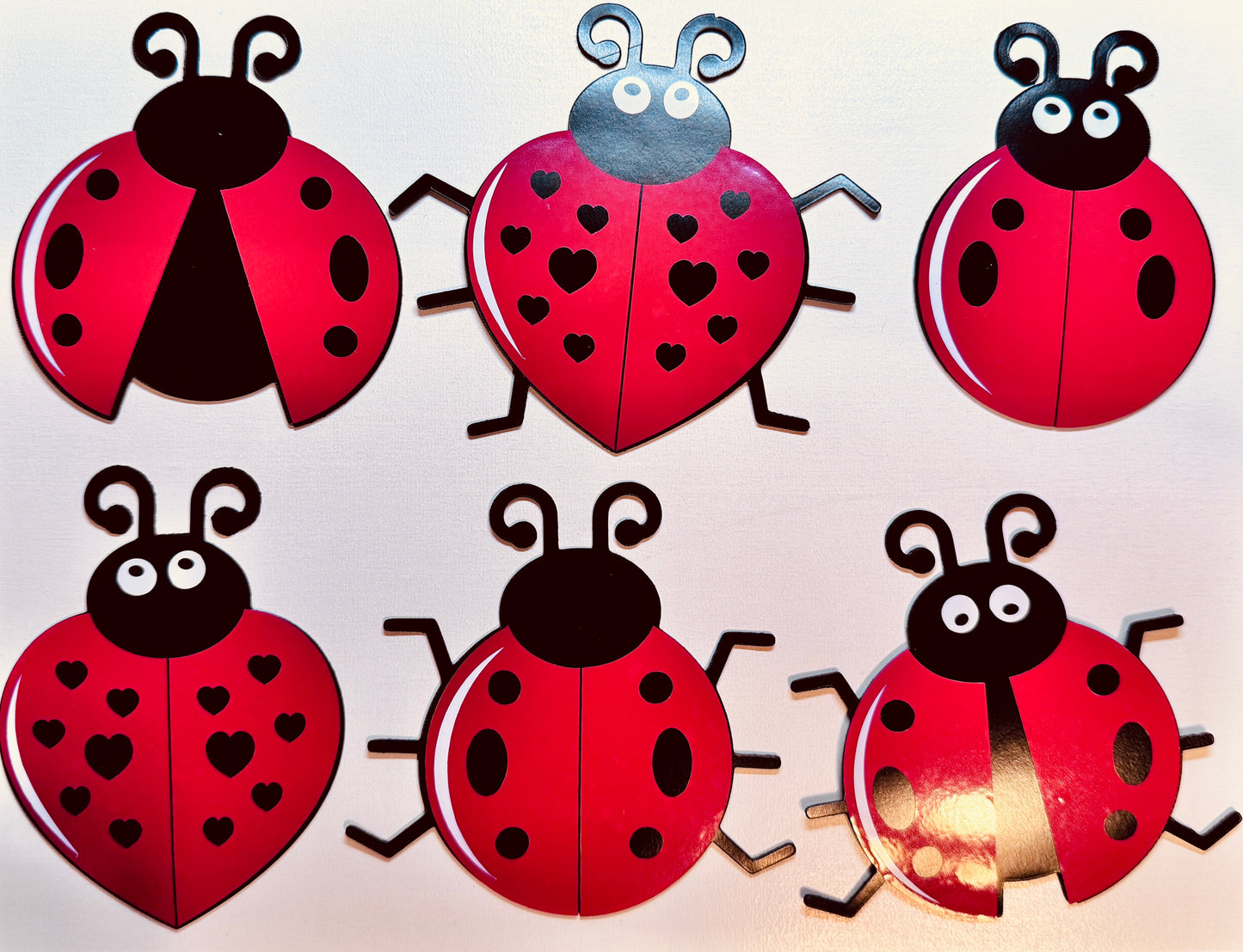 Personalized Ladybug Cruise Ship Door Magnet Set – Celebrate in Style! image 3