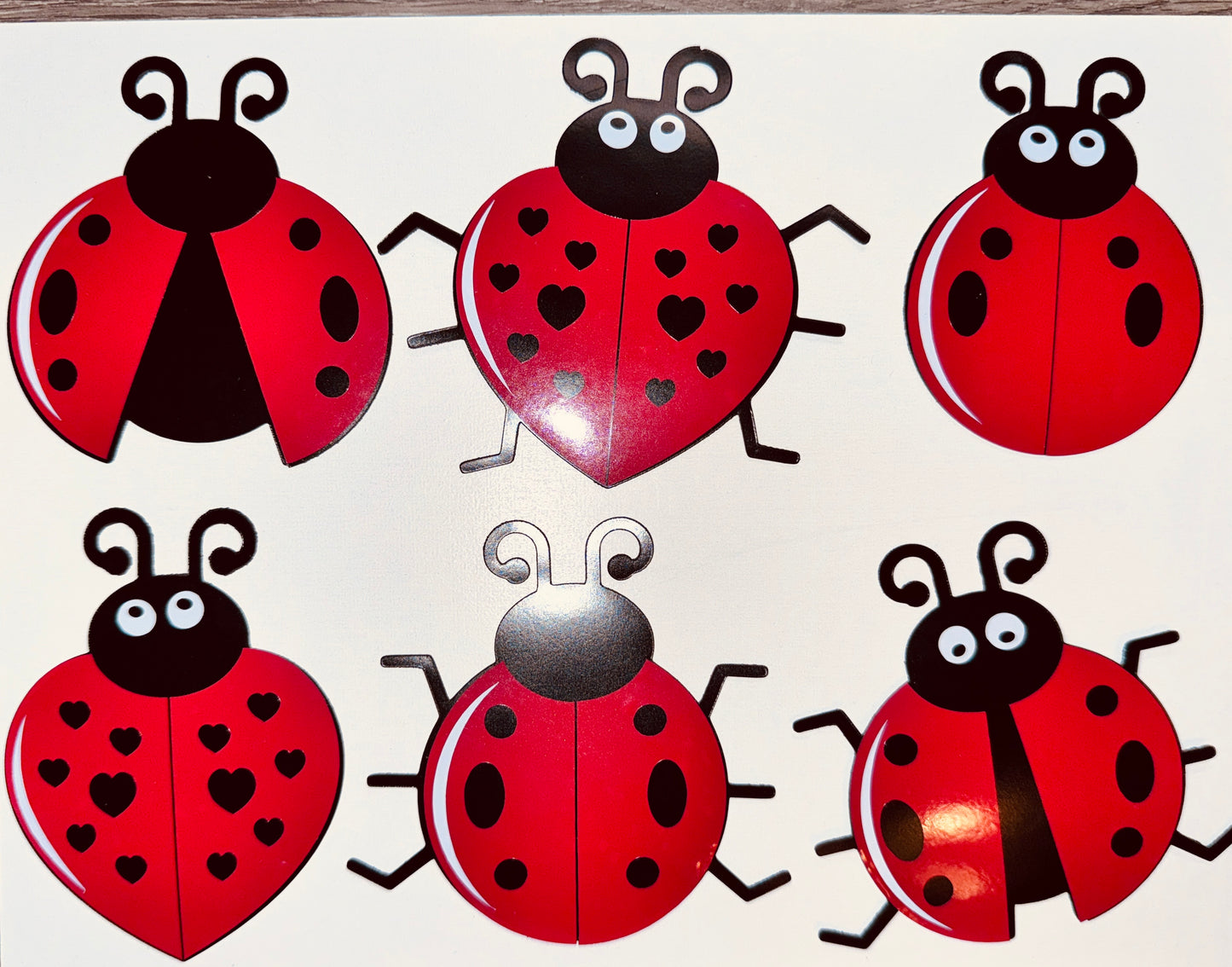Personalized Ladybug Cruise Ship Door Magnet Set – Celebrate in Style! image 9