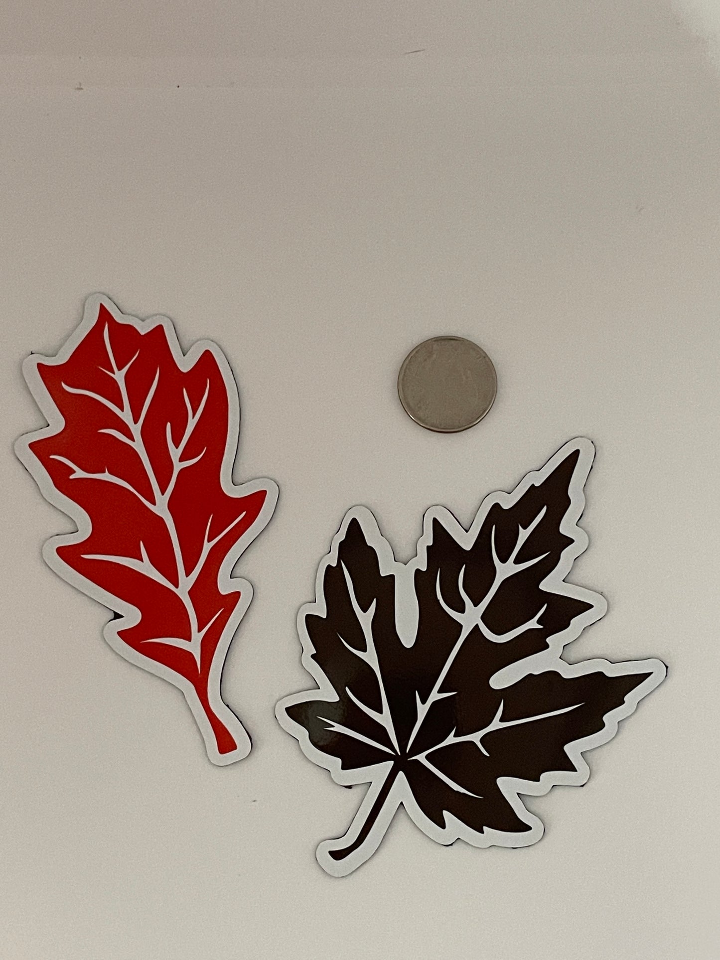 Fall Leaves set of 6 | Maple Leaf | Autumn Leaves Magnets | Fall Leaf Magnets image 1
