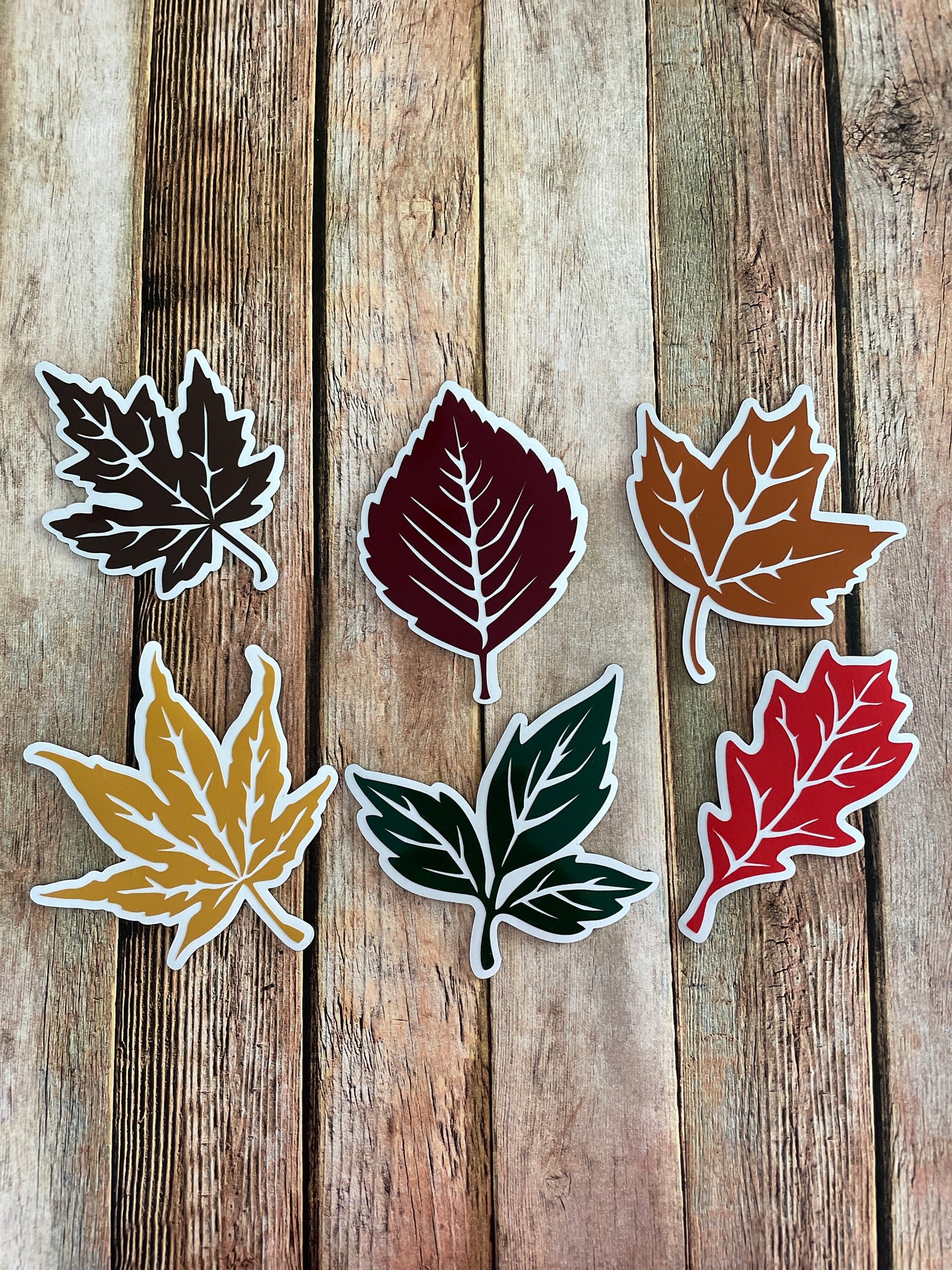 Fall Leaves set of 6 | Maple Leaf | Autumn Leaves Magnets | Fall Leaf Magnets image 3