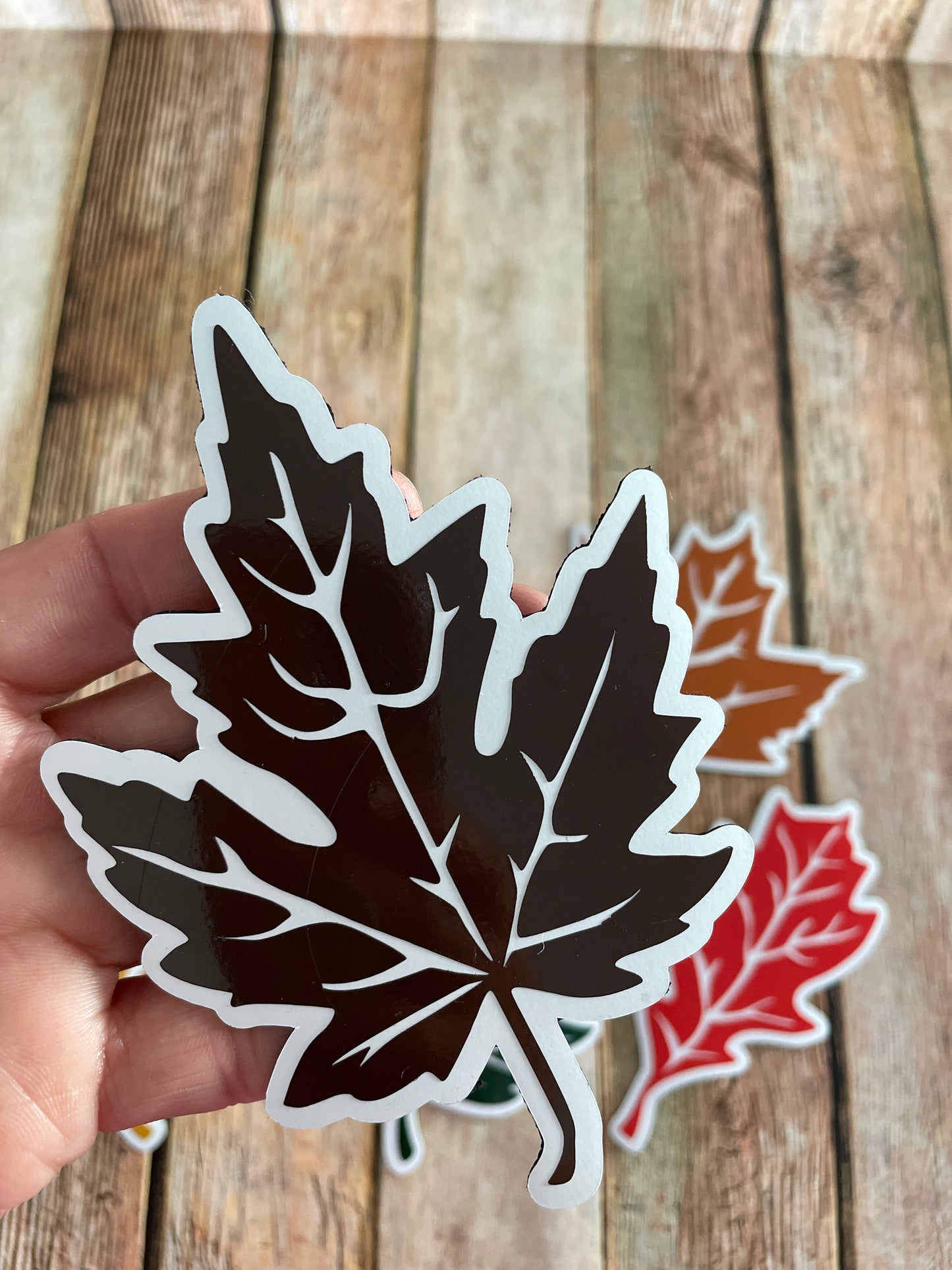Fall Leaves set of 6 | Maple Leaf | Autumn Leaves Magnets | Fall Leaf Magnets image 5