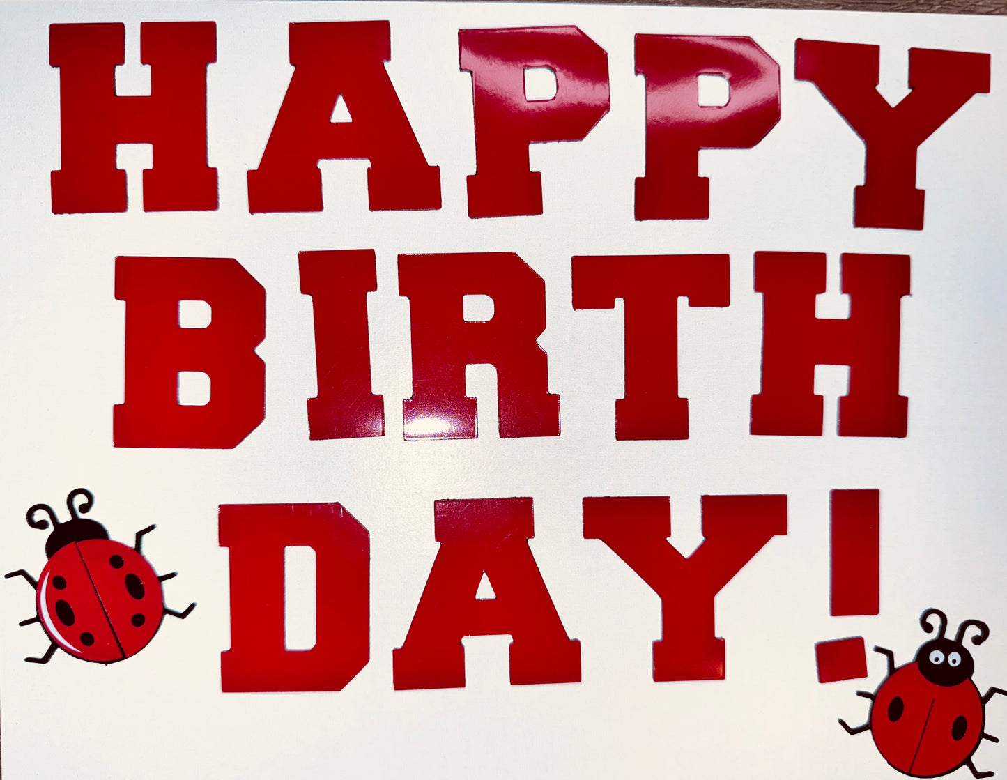 Personalized Ladybug Cruise Ship Door Magnet Set – Celebrate in Style! image 5