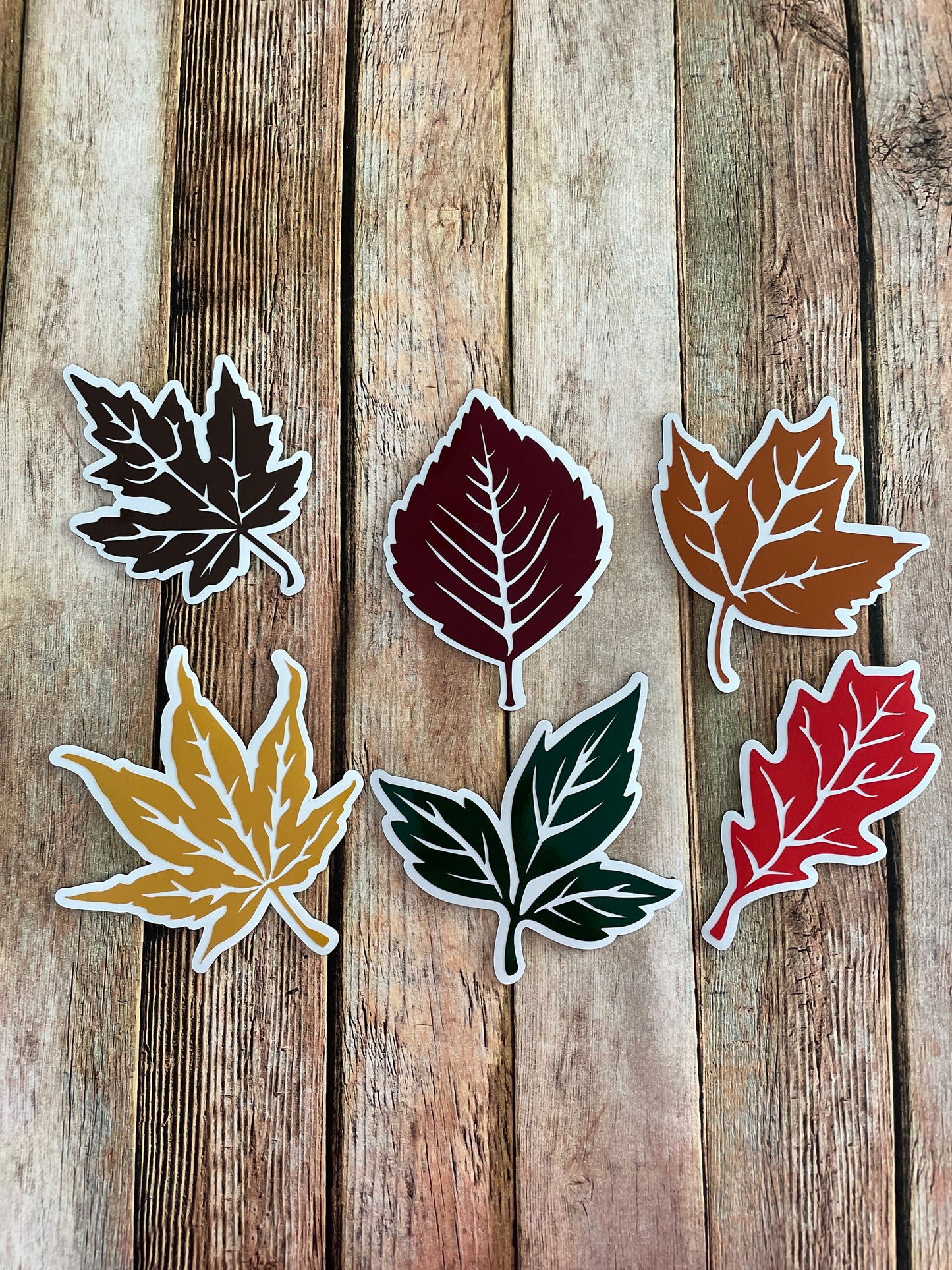 Fall Leaves set of 6 | Maple Leaf | Autumn Leaves Magnets | Fall Leaf Magnets image 0