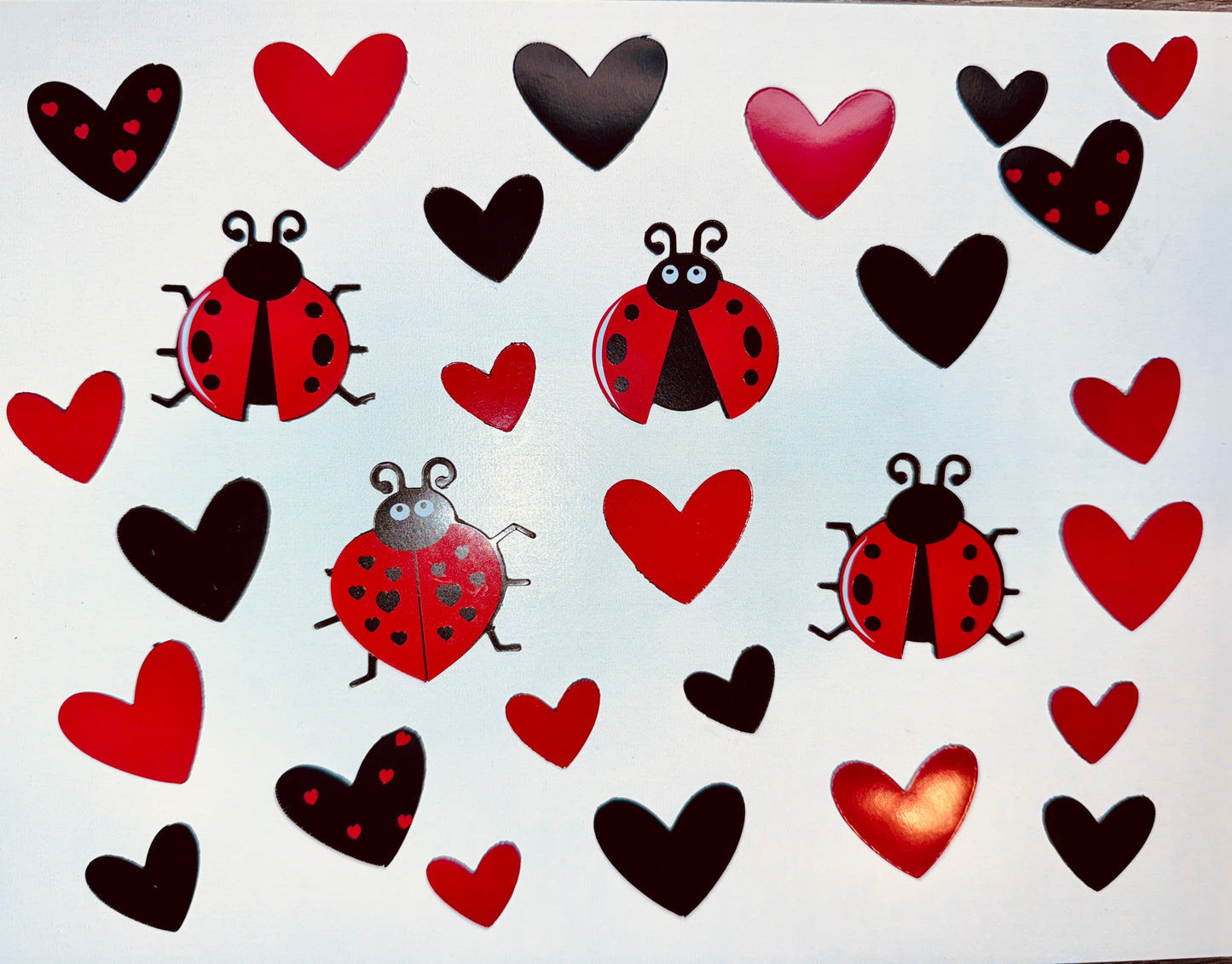 Personalized Ladybug Cruise Ship Door Magnet Set – Celebrate in Style! image 6