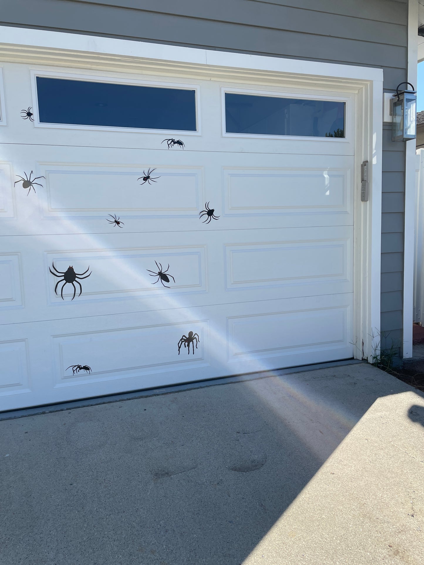Halloween Spider Magnets | Black Widow Magnet | Tarantula Magnets image 3