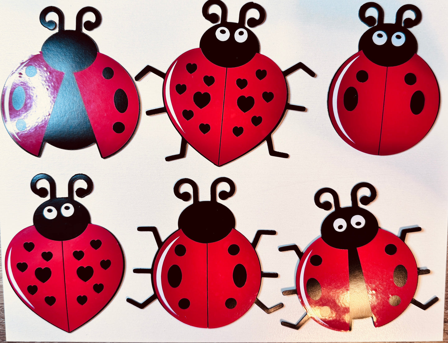 Personalized Ladybug Cruise Ship Door Magnet Set – Celebrate in Style! image 11
