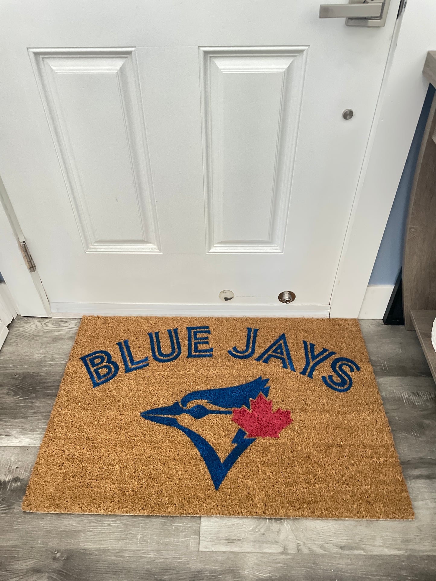 Toronto Blue Jays Door Mat | Welcome Mat | image 6