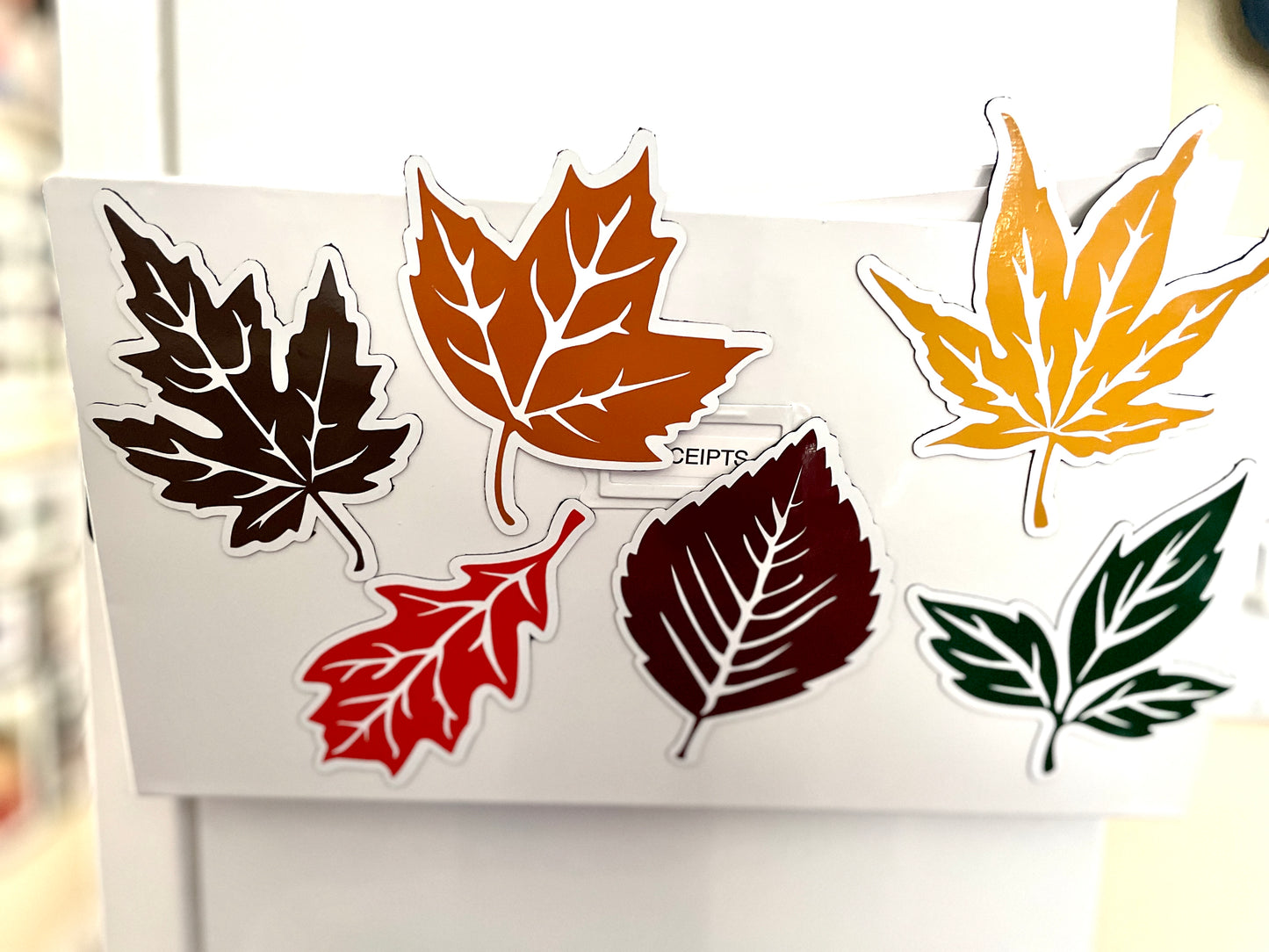 Fall Leaves set of 6 | Maple Leaf | Autumn Leaves Magnets | Fall Leaf Magnets image 7