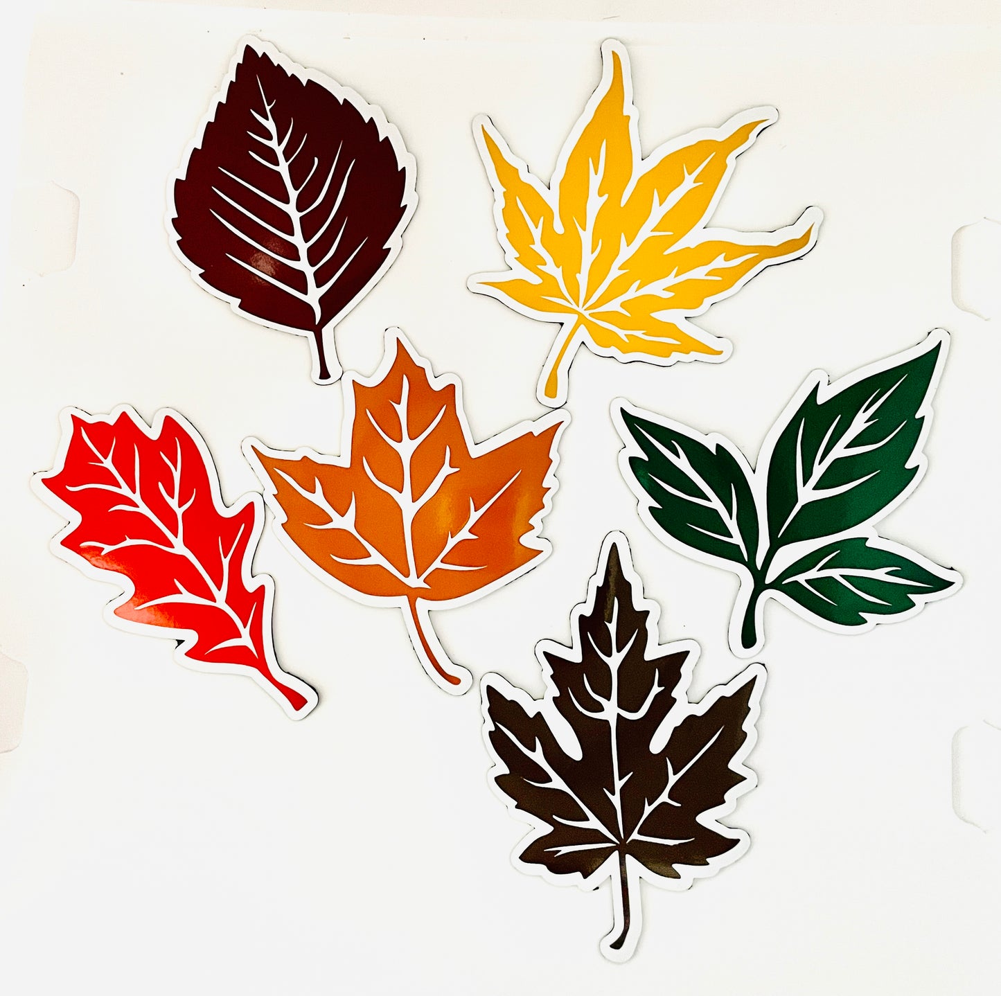 Fall Leaves set of 6 | Maple Leaf | Autumn Leaves Magnets | Fall Leaf Magnets image 8