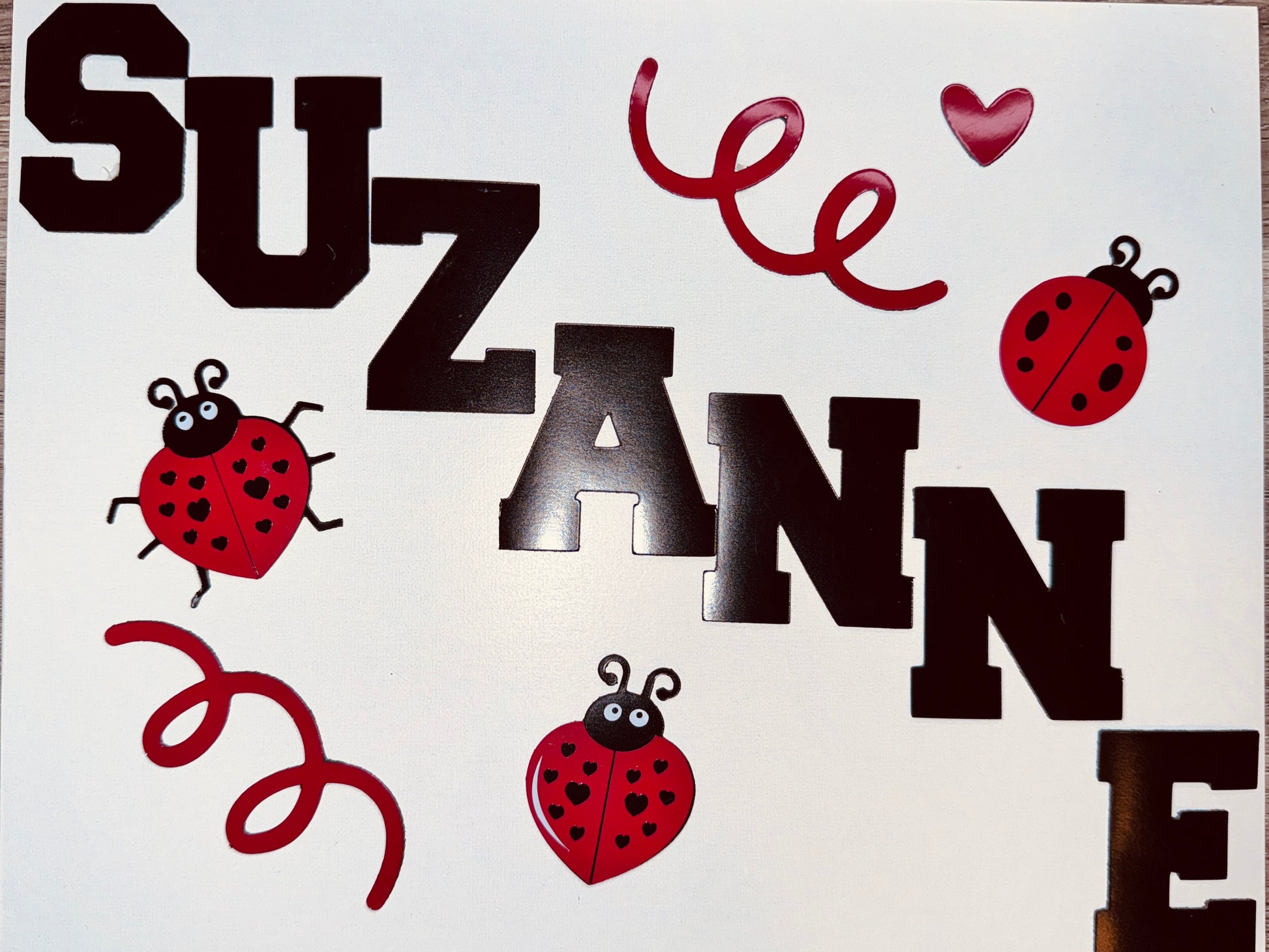 Personalized Ladybug Cruise Ship Door Magnet Set – Celebrate in Style! image 13