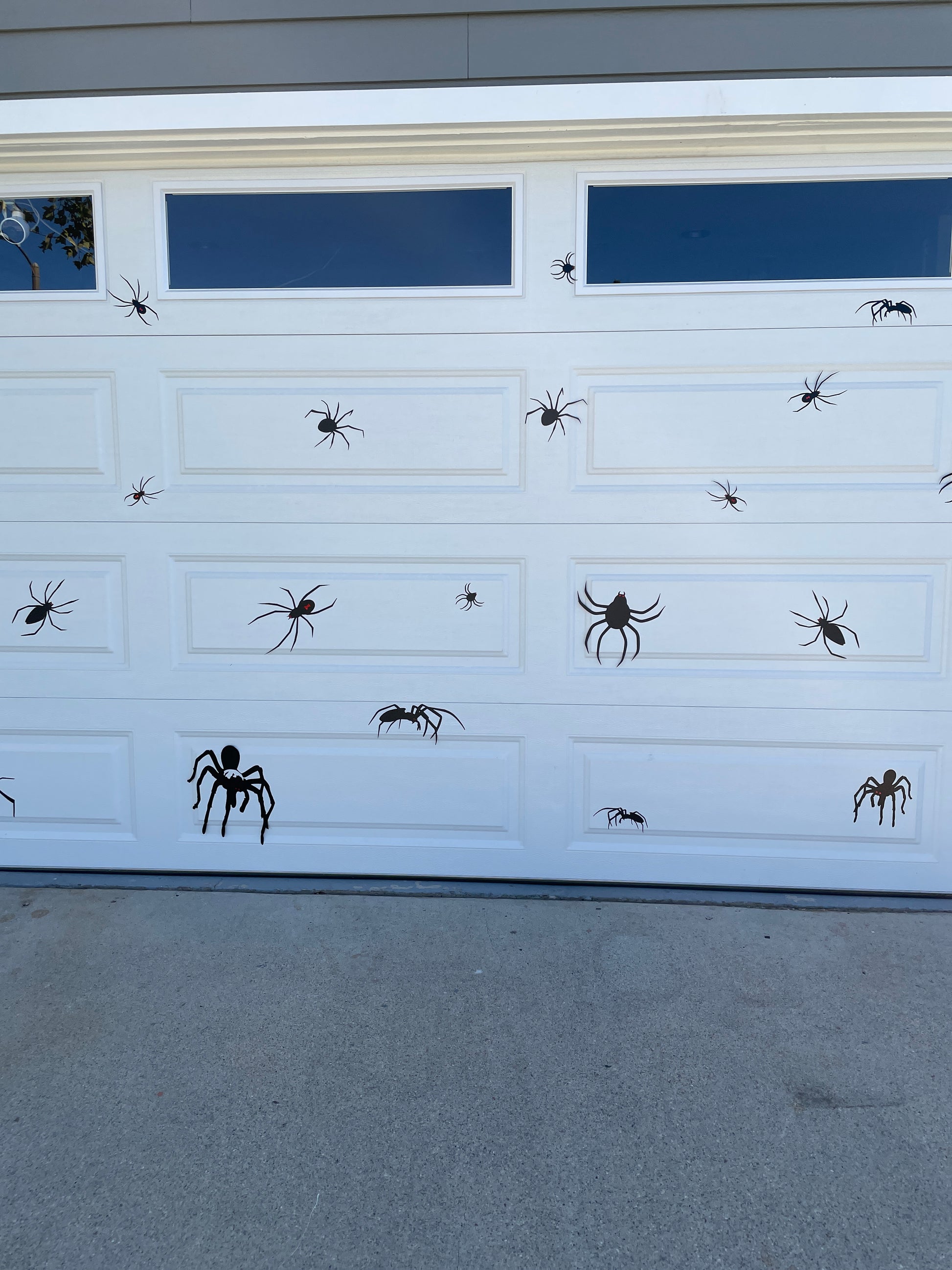 Halloween Spider Magnets | Black Widow Magnet | Tarantula Magnets image 4