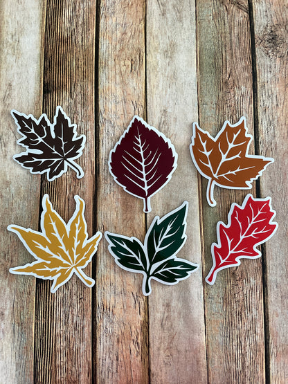 Fall Leaves set of 6 | Maple Leaf | Autumn Leaves Magnets | Fall Leaf Magnets image 3