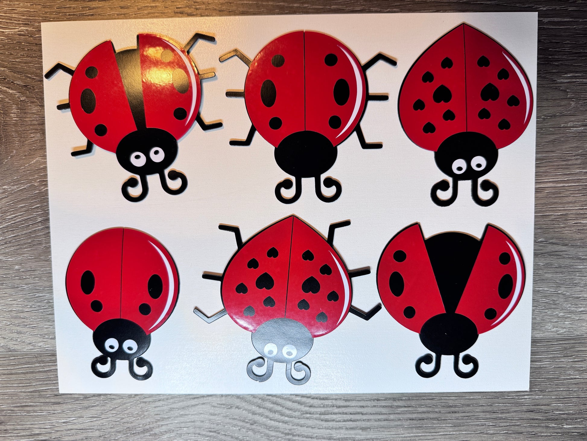 Personalized Ladybug Cruise Ship Door Magnet Set – Celebrate in Style! image 2