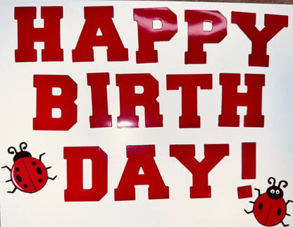 Personalized Ladybug Cruise Ship Door Magnet Set – Celebrate in Style! image 5