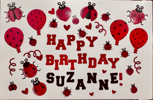 Personalized Ladybug Cruise Ship Door Magnet Set – Celebrate in Style! image 0