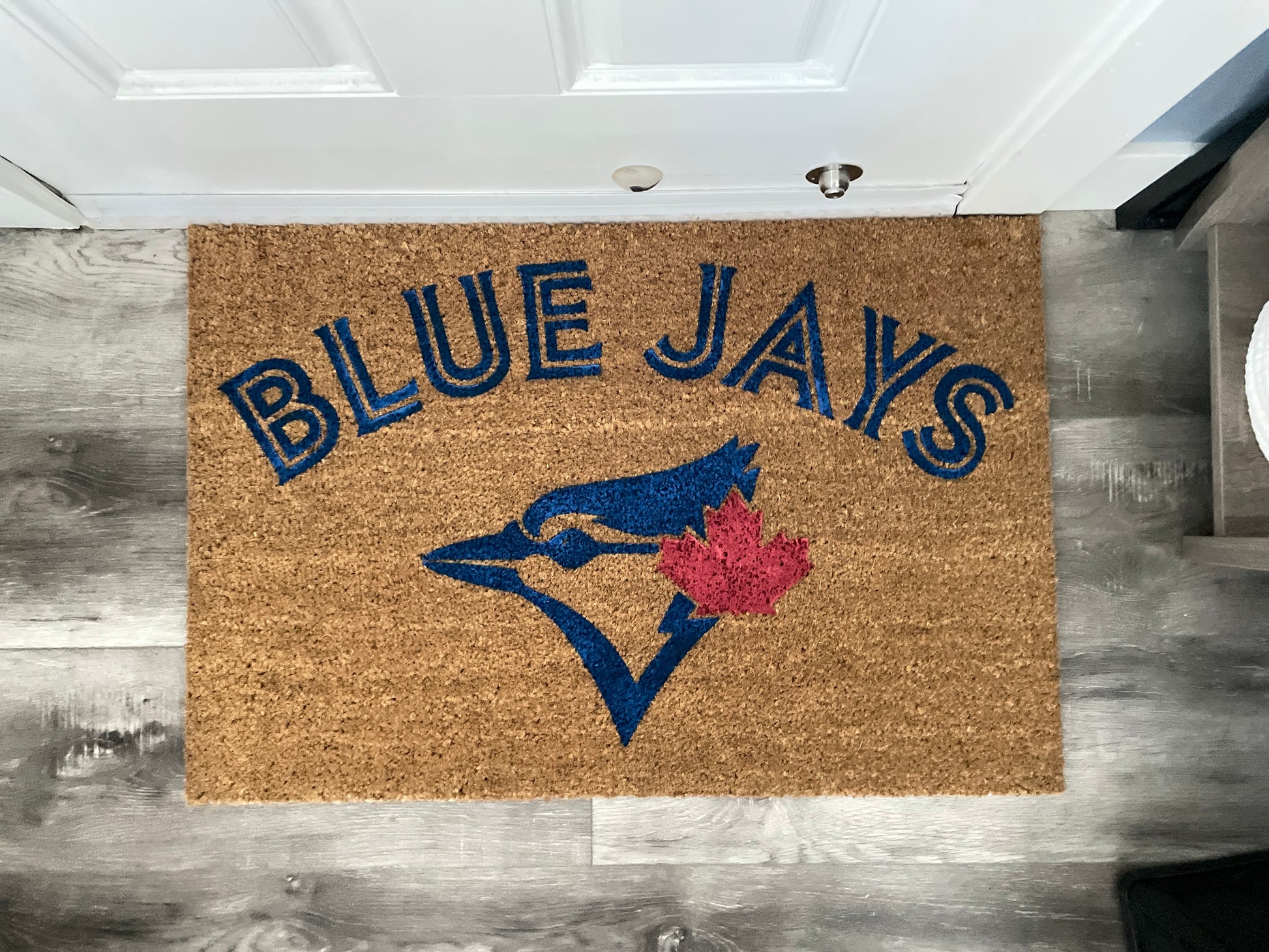 Toronto Blue Jays Door Mat | Welcome Mat | image 12