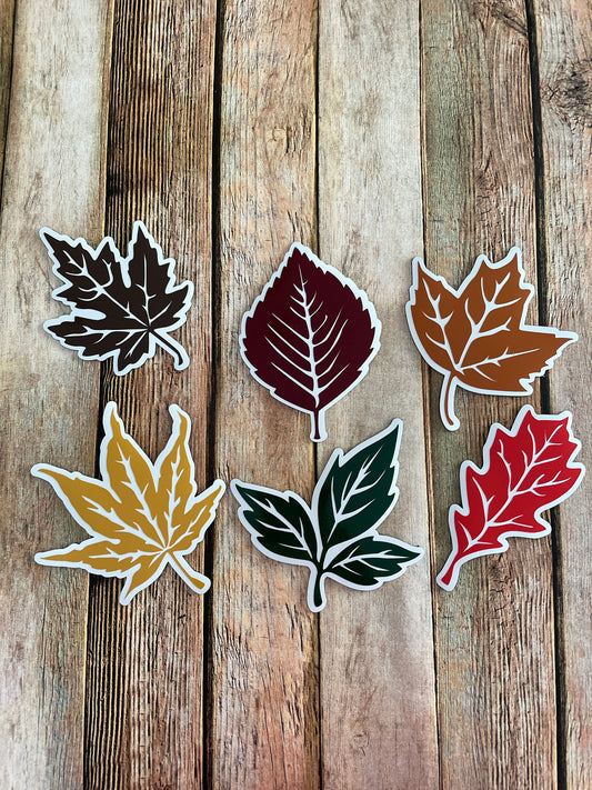 Fall Leaves set of 6 | Maple Leaf | Autumn Leaves Magnets | Fall Leaf Magnets image 0