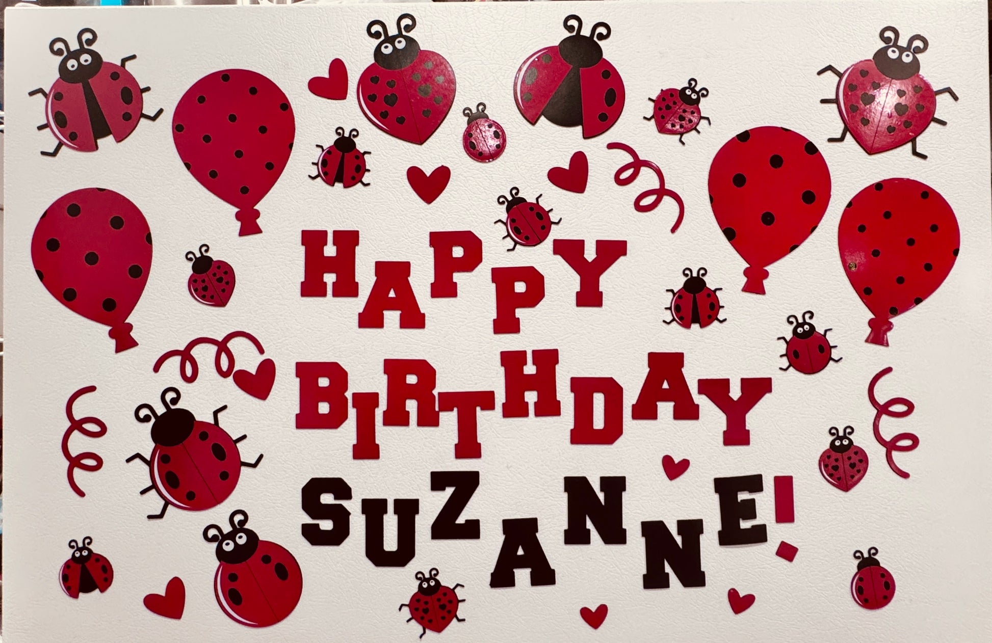 Personalized Ladybug Cruise Ship Door Magnet Set – Celebrate in Style! image 7
