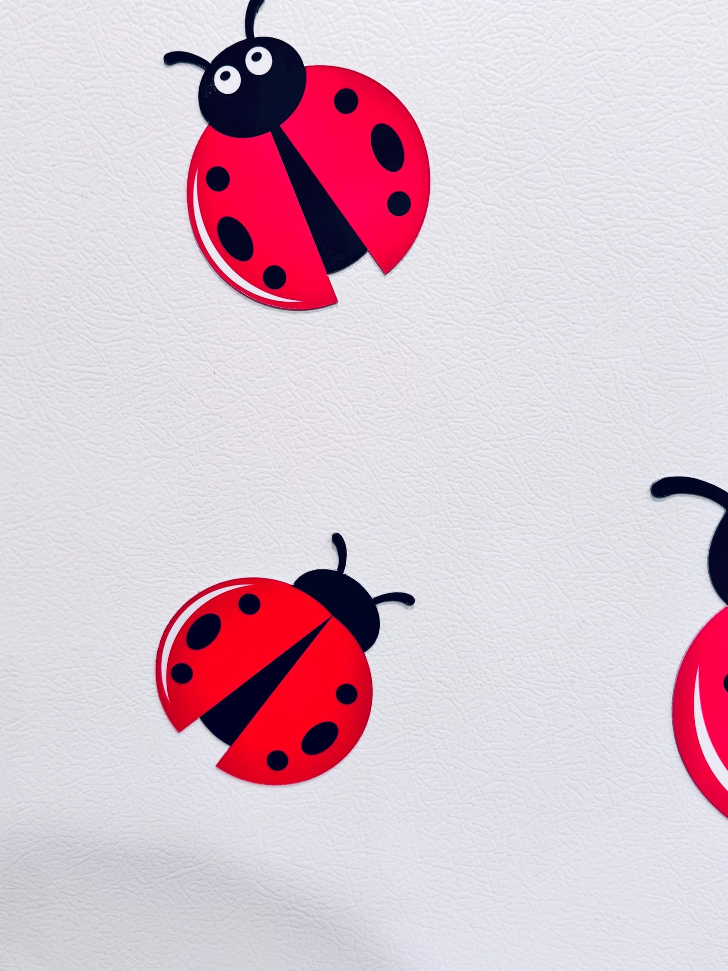 Ladybug Cruise Ship Cabin Door Decor | Personalized Birthday Door Magnets | Happy Birthday Name Decorations | Cruise Door Magnet