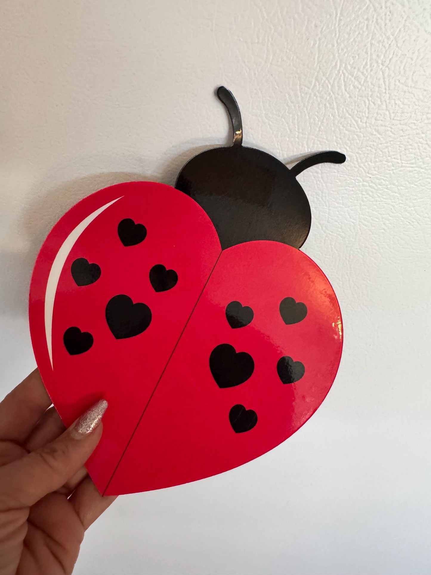 Ladybug Cruise Ship Cabin Door Decor | Personalized Birthday Door Magnets | Happy Birthday Name Decorations | Cruise Door Magnet