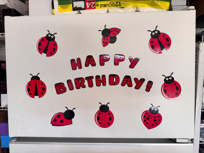 Ladybug Cruise Ship Cabin Door Decor | Personalized Birthday Door Magnets | Happy Birthday Name Decorations | Cruise Door Magnet