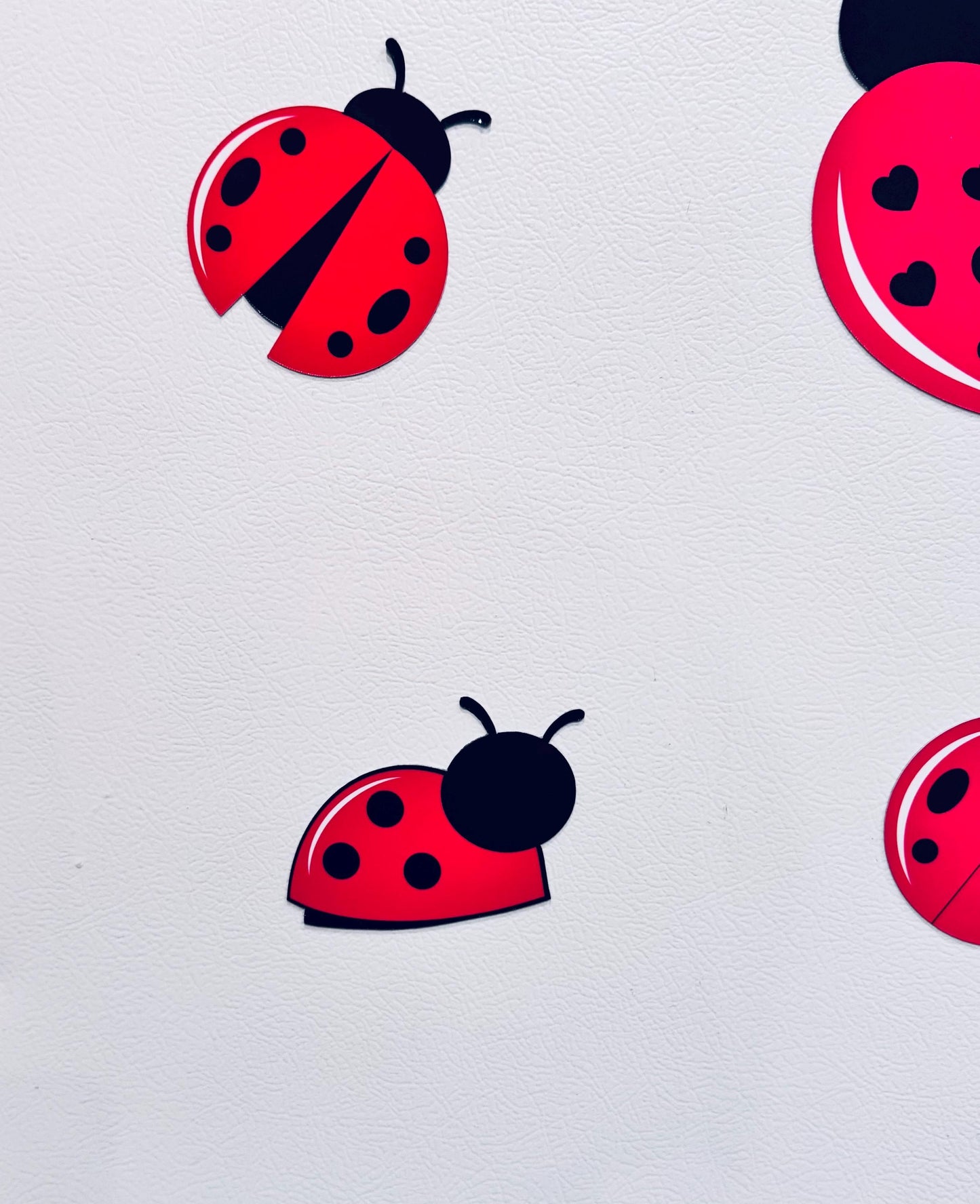 Ladybug Cruise Ship Cabin Door Decor | Personalized Birthday Door Magnets | Happy Birthday Name Decorations | Cruise Door Magnet