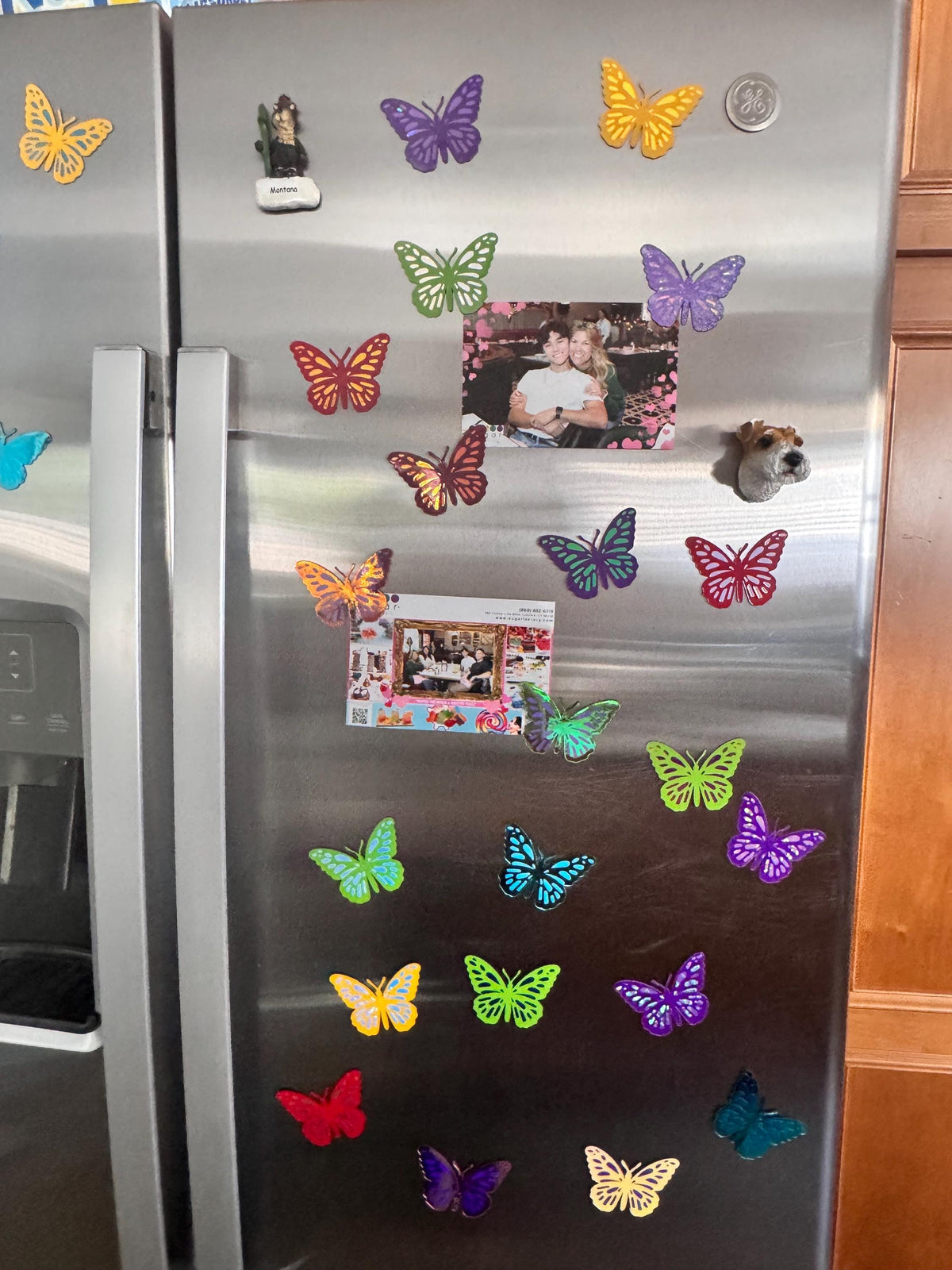 Mailbox Butterfly Magnets – Set of 5 Colorful Butterflies – 2.75 Inches Wide
