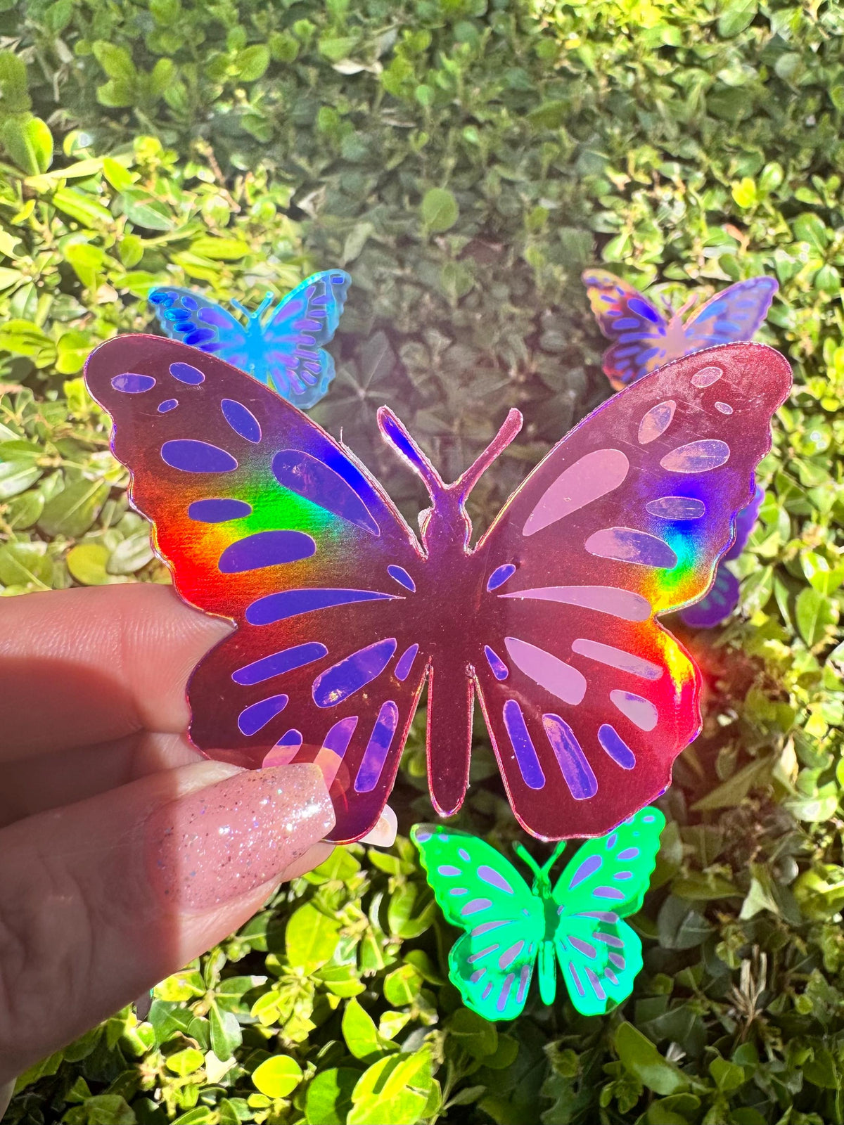 Mailbox Butterfly Magnets – Set of 5 Colorful Butterflies – 2.75 Inches Wide