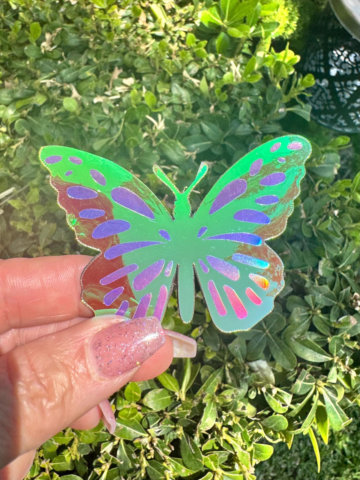 Mailbox Butterfly Magnets – Set of 5 Colorful Butterflies – 2.75 Inches Wide